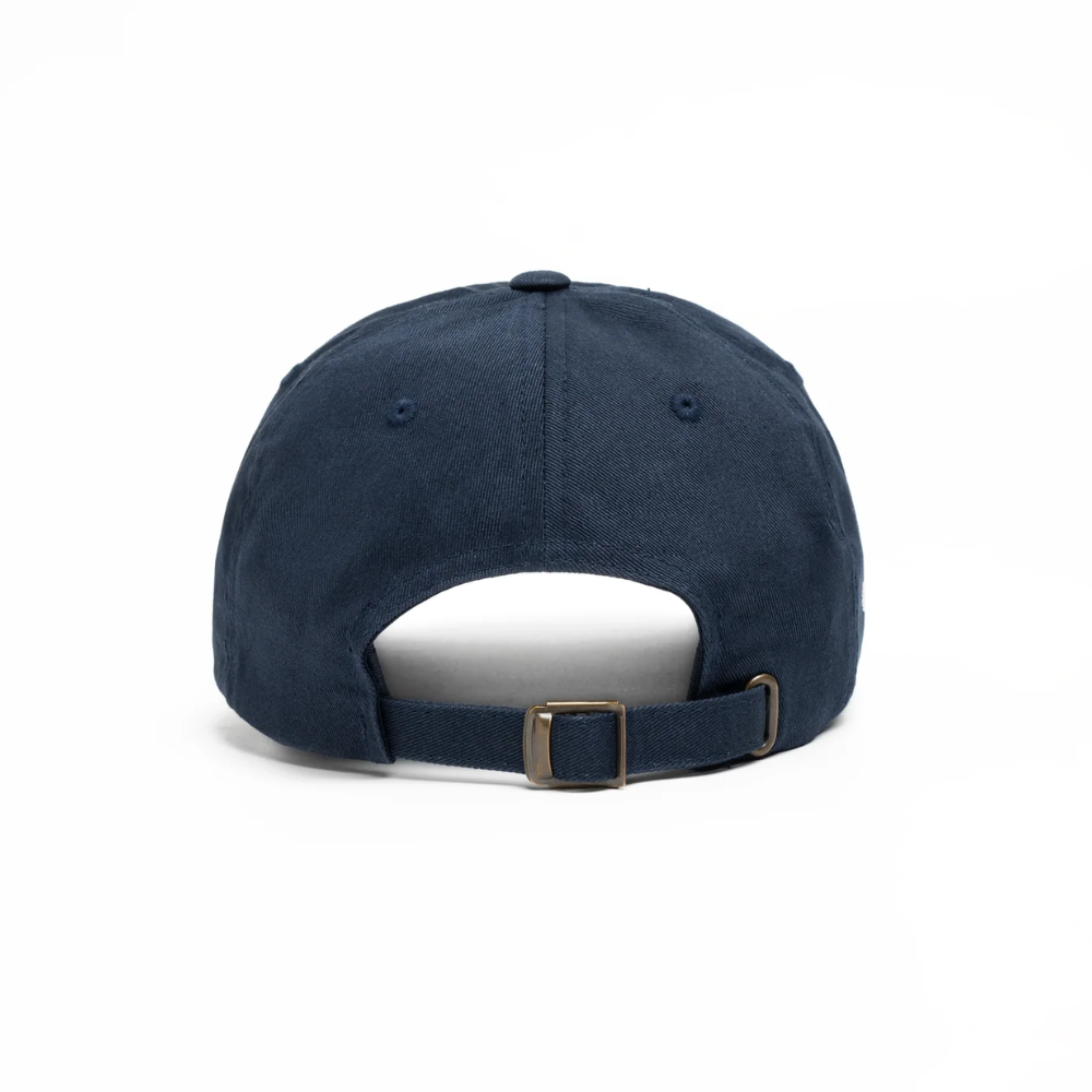 Navy Blue PlanB Bitcoin cap with embroidered PlanB and HODL logo from the back